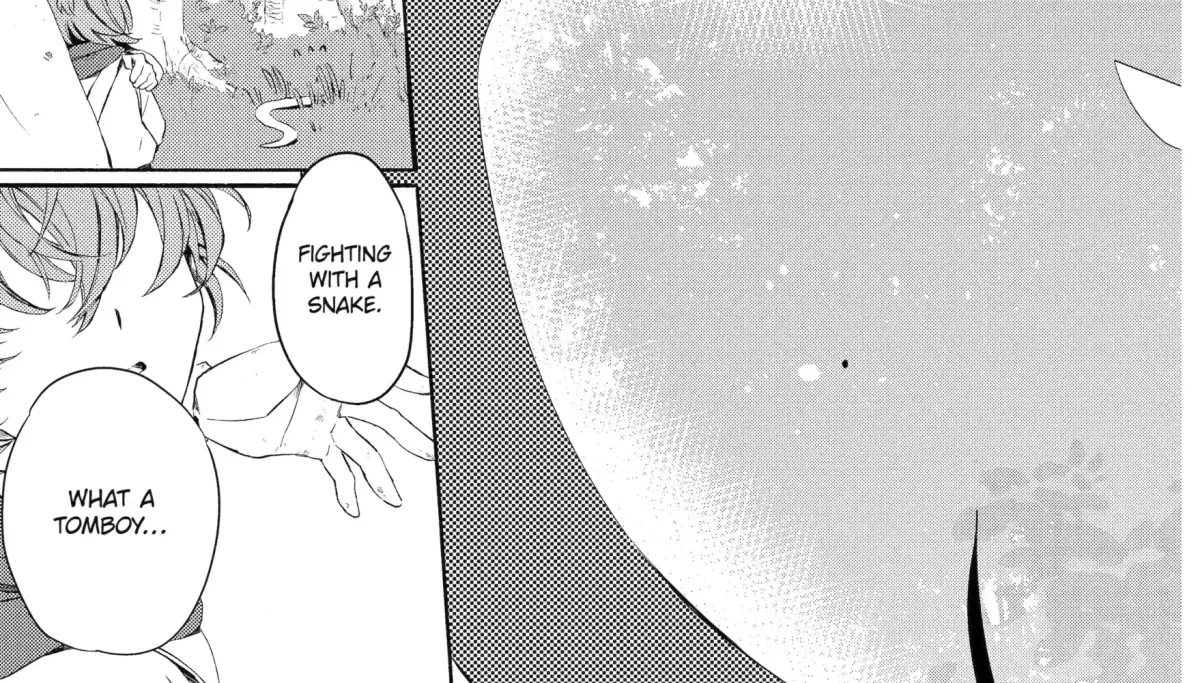 Sabaku no Kuni no Amefurashi Hime Chapter 1.2 page 28 - 