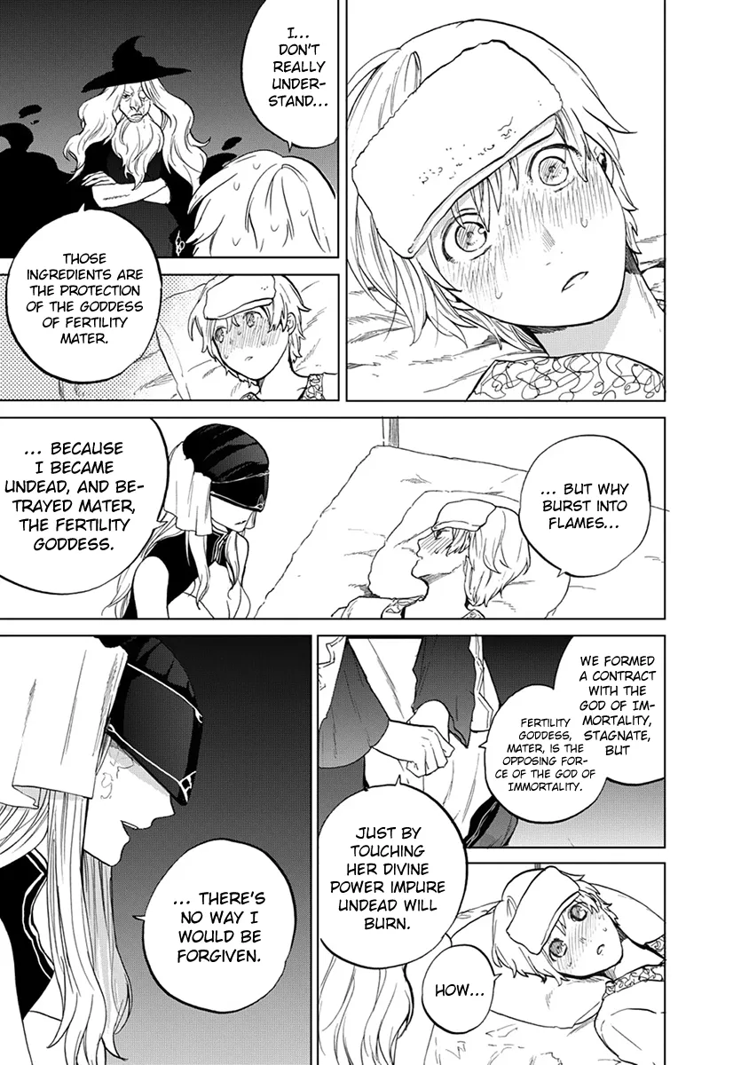 Saihate no Paladin Chapter 3 page 37 - 