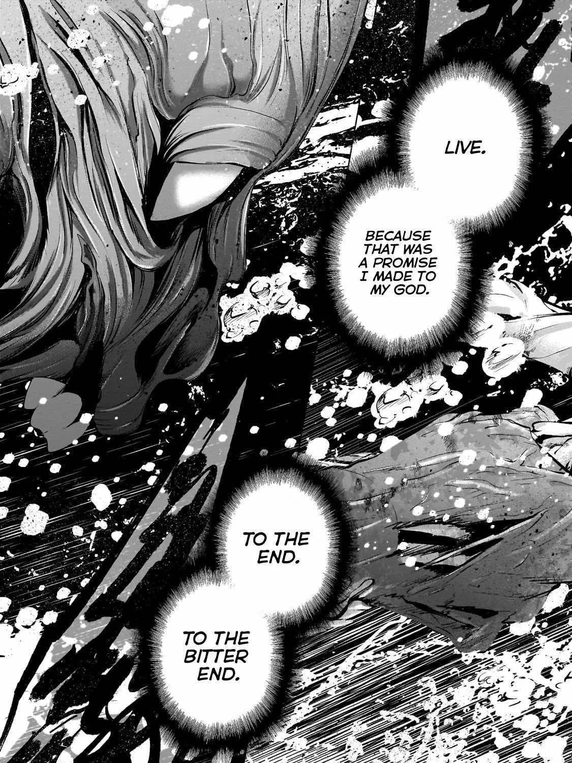 Saihate no Paladin Chapter 63.2 page 12 - 