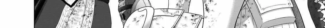 Saihate no Paladin Chapter 63.2 page 25 - 
