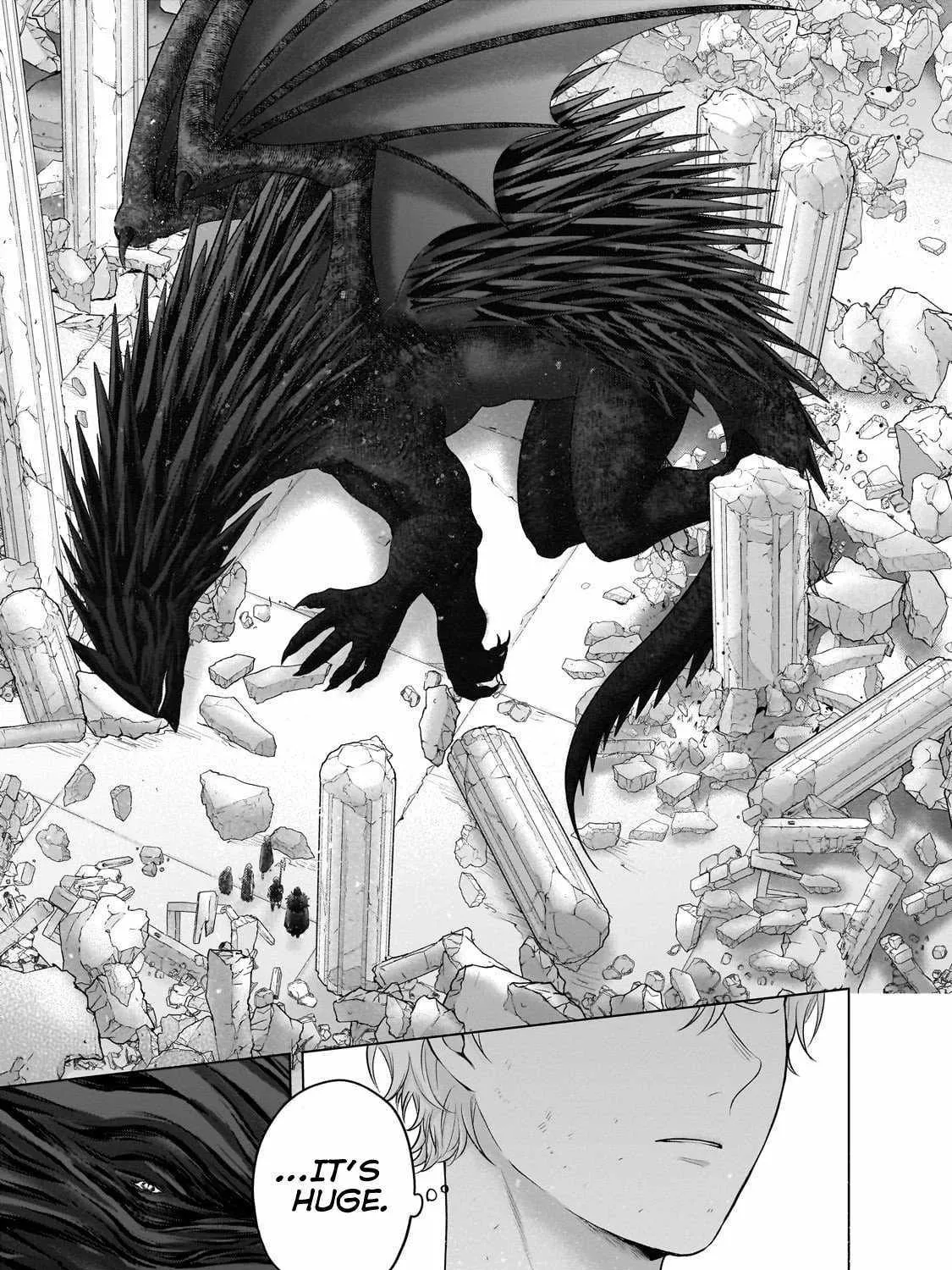 Saihate no Paladin Chapter 63.2 page 30 - 