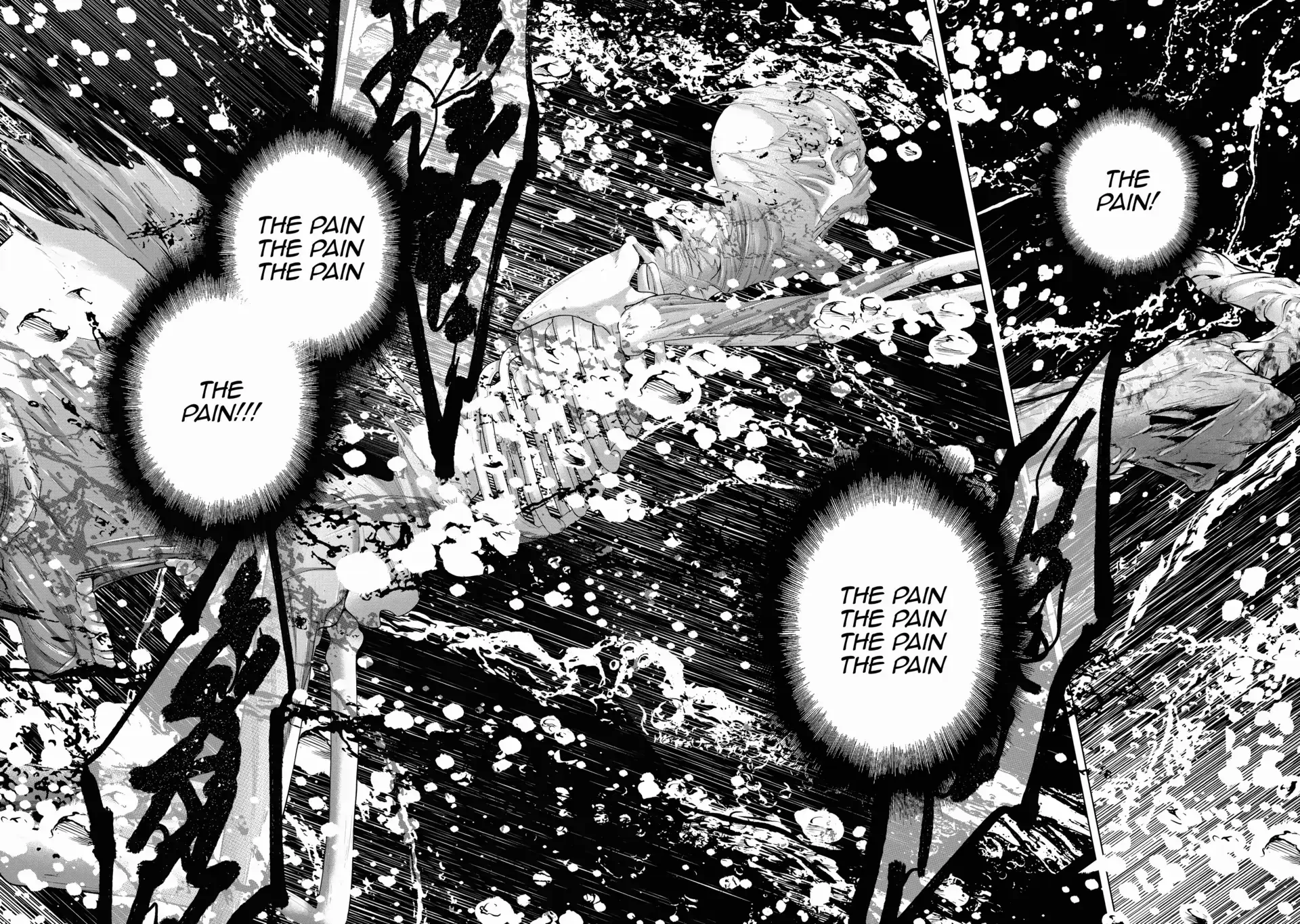 Saihate no Paladin Chapter 63 page 13 - 