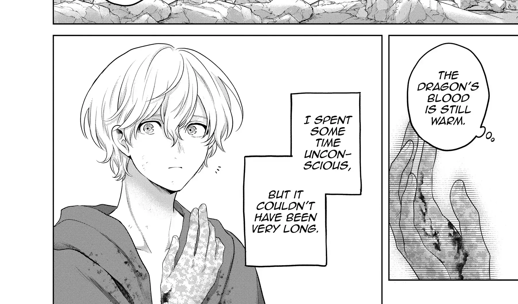 Saihate no Paladin Chapter 63 page 29 - 