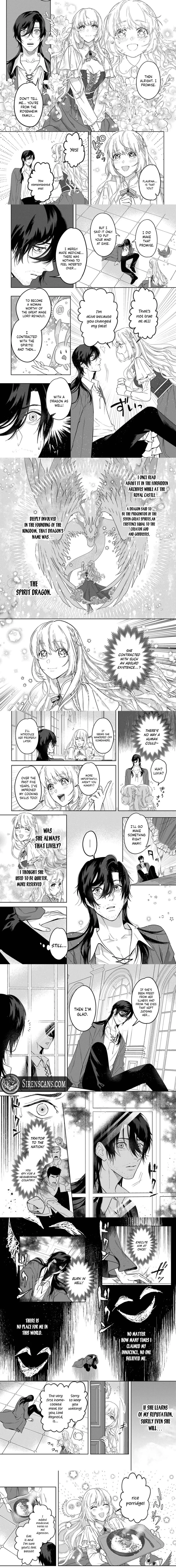 Saikyou Koshaku Reijou no Henkyou Oshikakekon Fraulina Rosenheim wa Unmei no Tsuihou Madoushi ni Totsugitai Chapter 2 page 3 - 