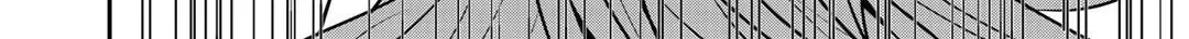 Saikyou no Kurokishi♂, Sentou Maid♀ ni Tenshoku shimashita Chapter 35 page 32 - 