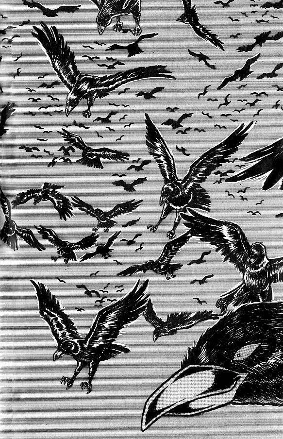 Saint Seiya Chapter 24 page 38 - 