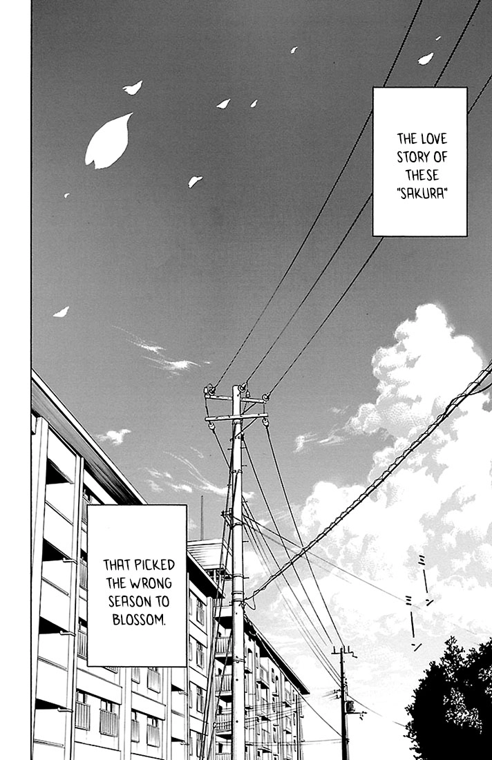 Sakura Discord Chapter 26 page 24 - 