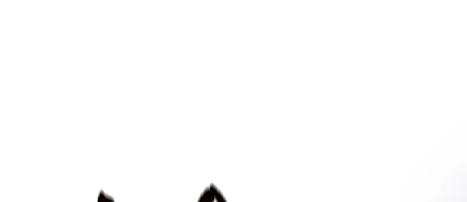 Salvos (A Monster Evolution LitRPG) Chapter 70 page 98 - 