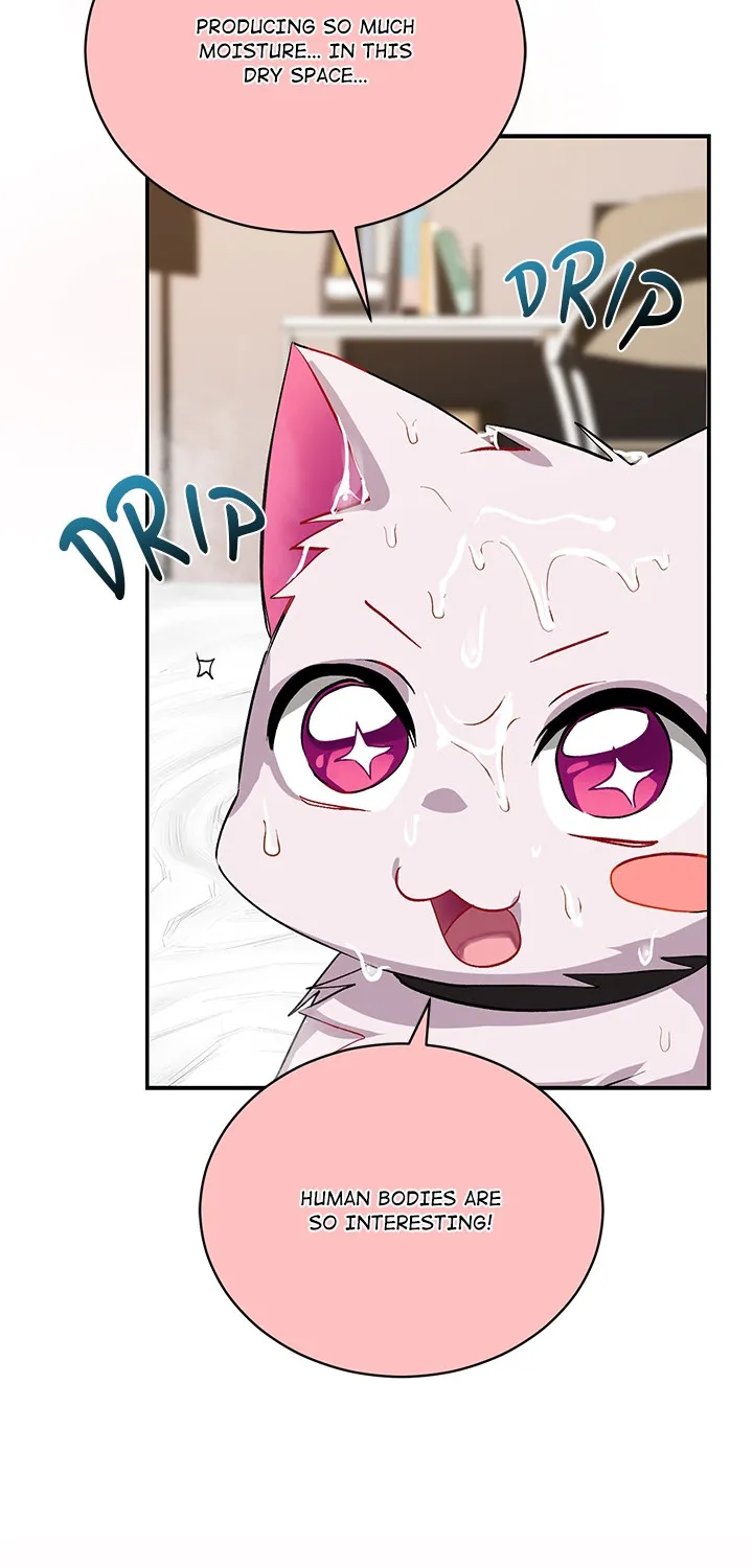 Saving My Magical Girl Chapter 1 page 27 - 