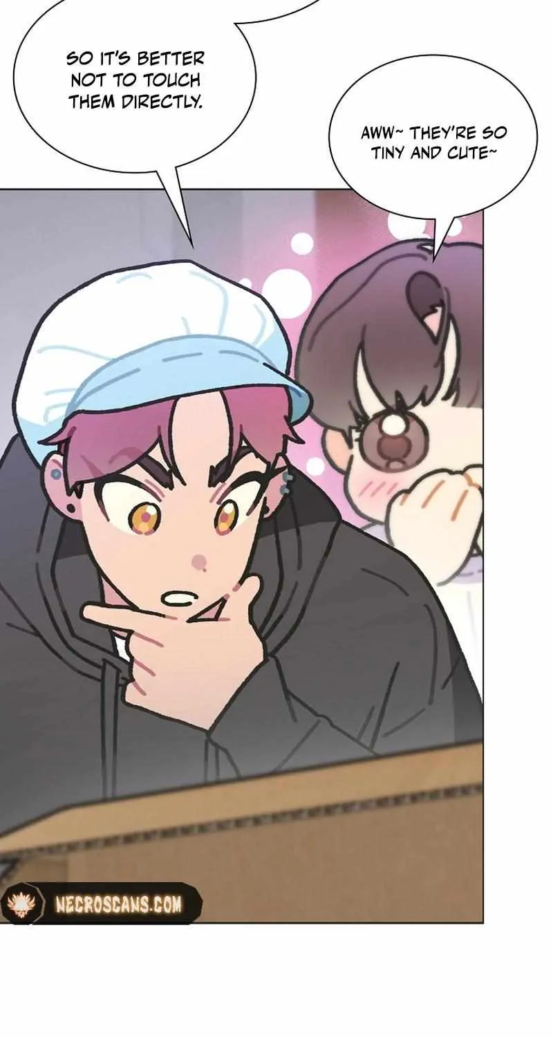 Saving the Doomed Idols With My Touch Chapter 46 page 15 - 