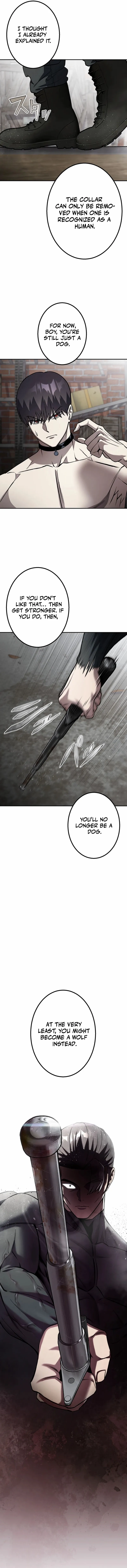 School Organization Chapter 5 page 6 - 