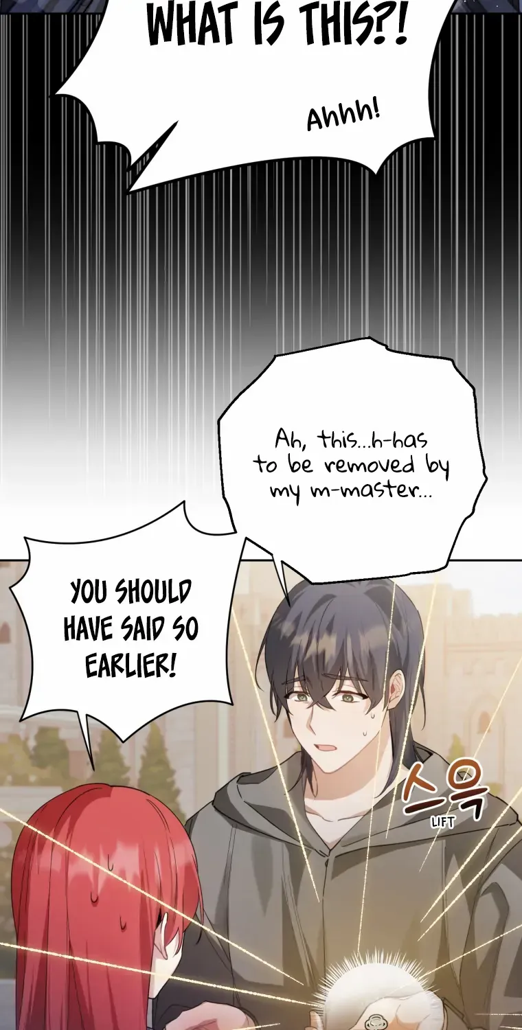Screw the Noble Life, I’m Going Home Chapter 15 page 19 - 
