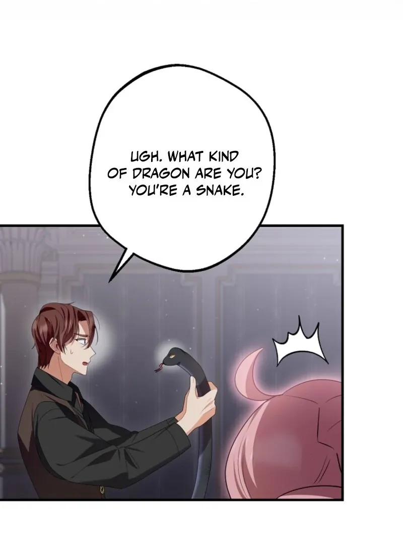 Screw the Noble Life, I’m Going Home Chapter 64 page 70 - 