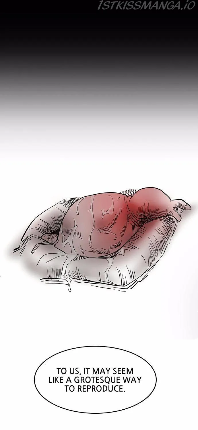 Scroll if You Dare Chapter 10 page 97 - 