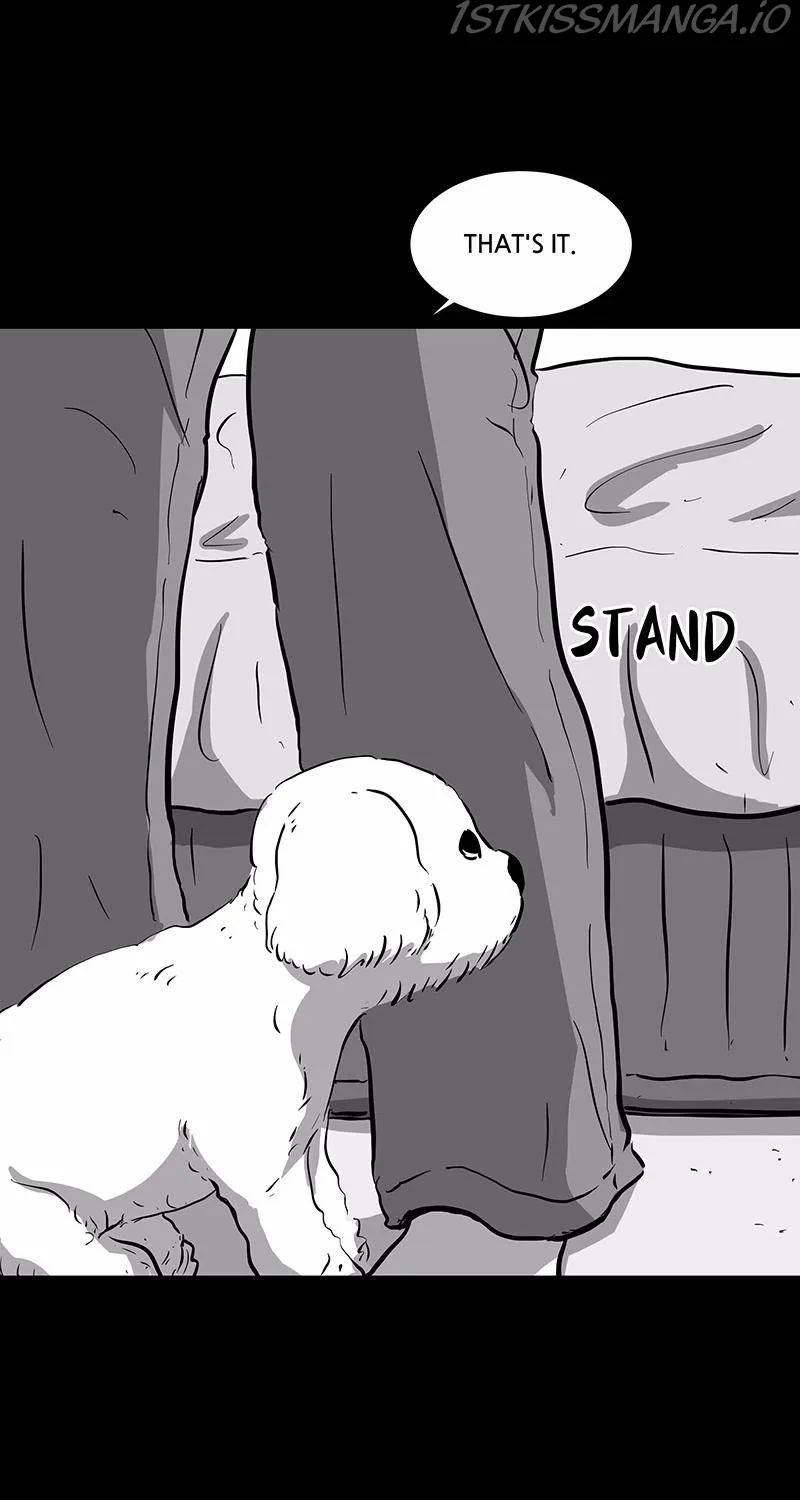 Scroll if You Dare Chapter 15 page 44 - 