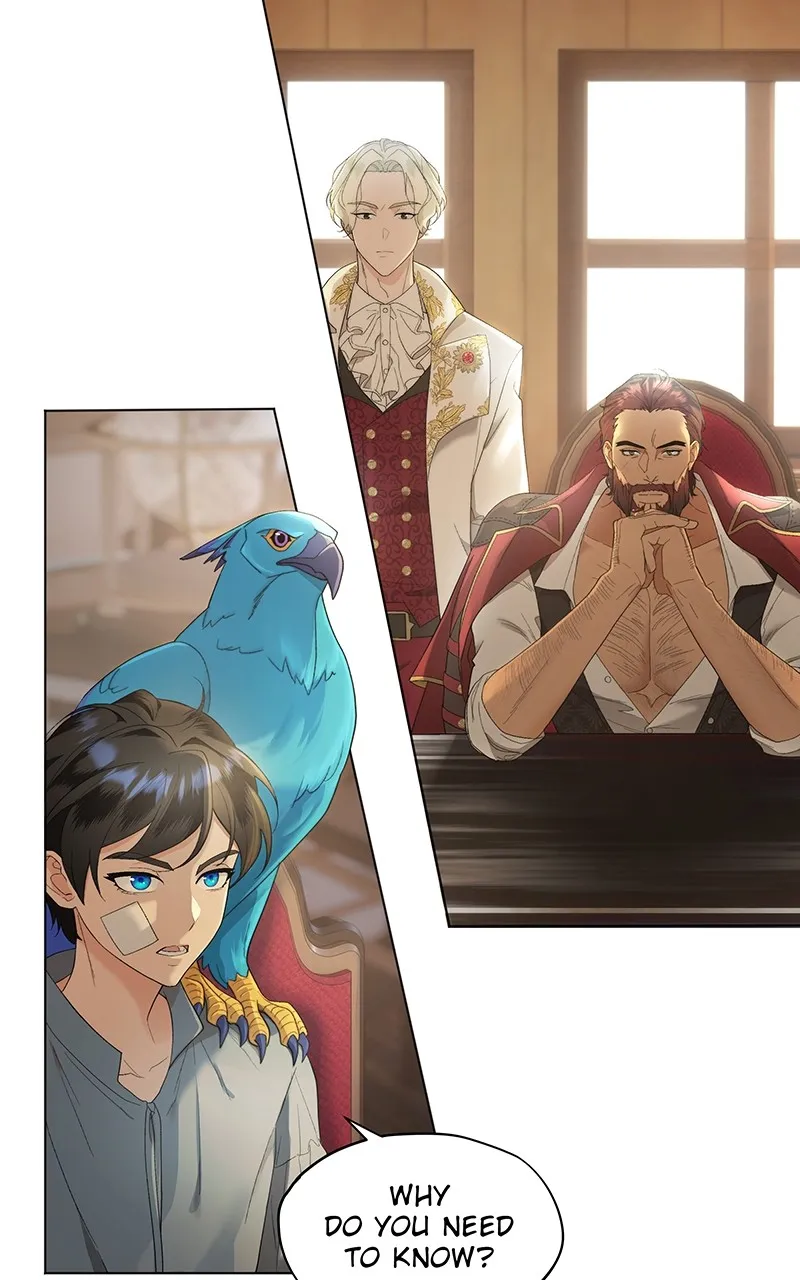 Seabird and the Wolf Chapter 10 page 5 - 