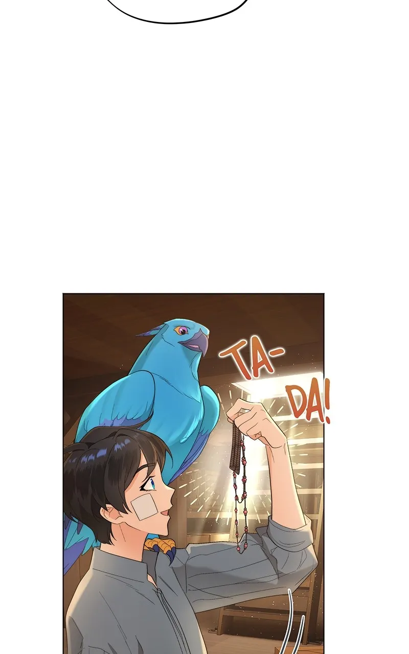 Seabird and the Wolf Chapter 11 page 19 - 