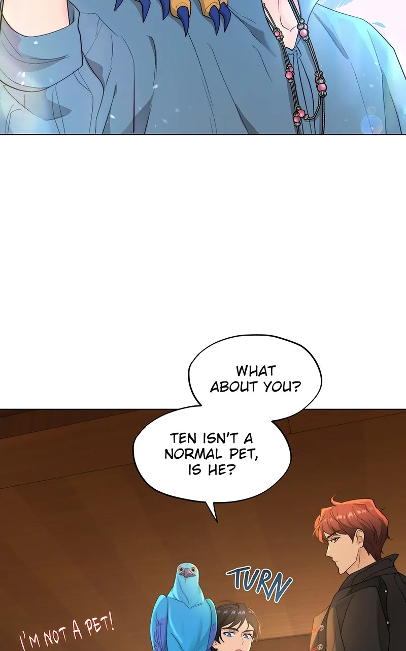 Seabird and the Wolf Chapter 11 page 41 - 