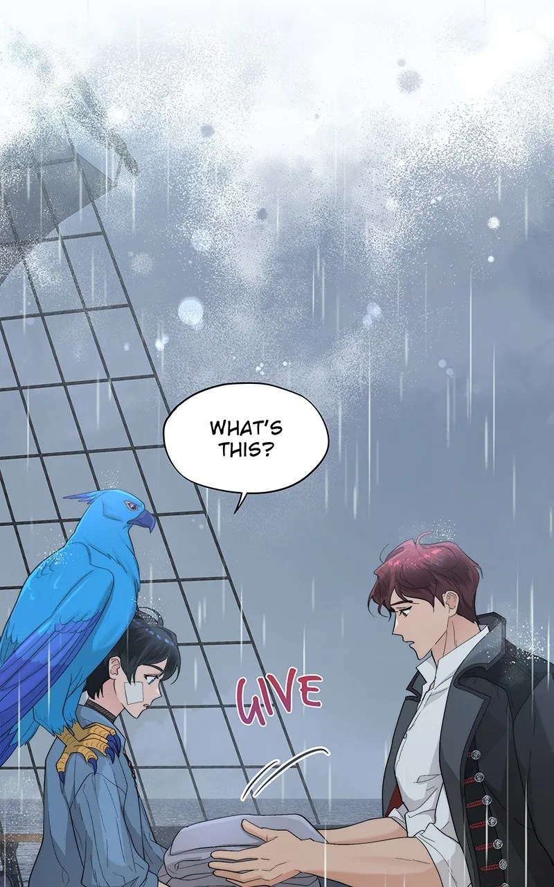 Seabird and the Wolf Chapter 12 page 49 - 