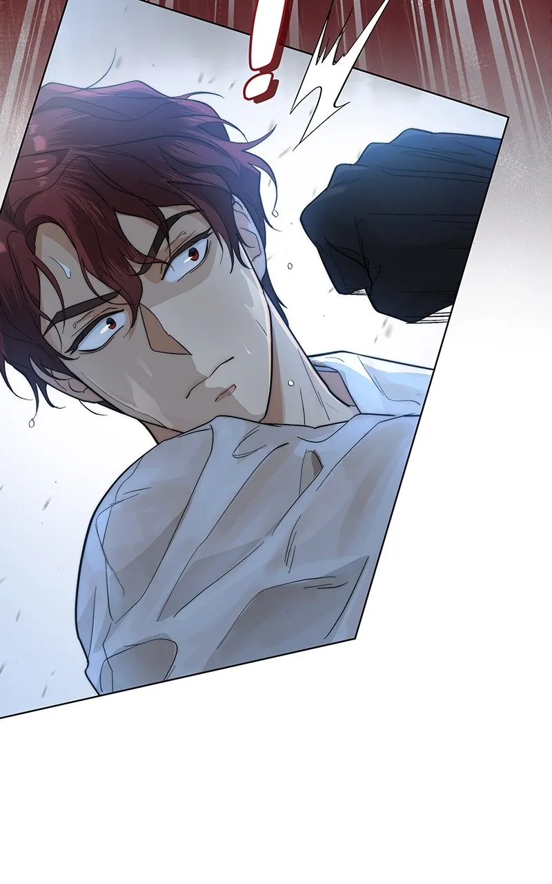 Seabird and the Wolf Chapter 13 page 15 - 
