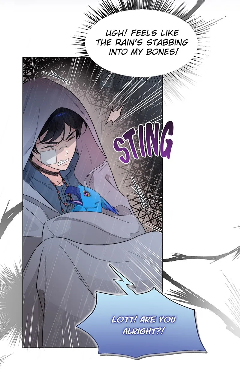 Seabird and the Wolf Chapter 13 page 3 - 