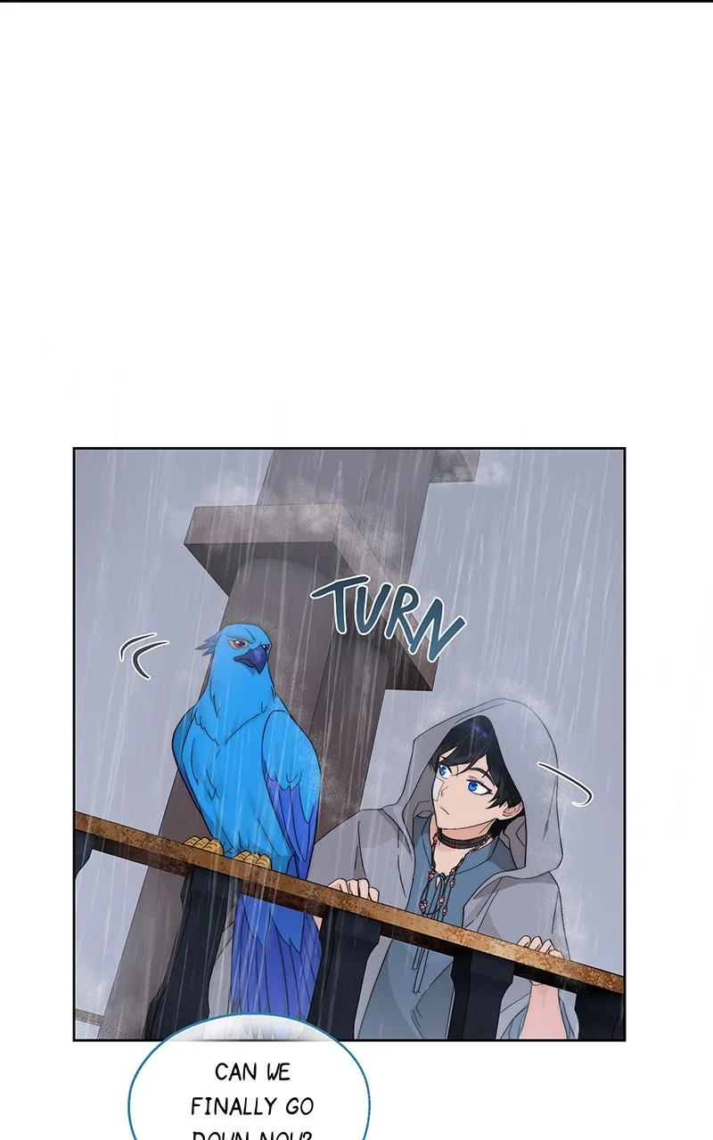 Seabird and the Wolf Chapter 13 page 42 - 