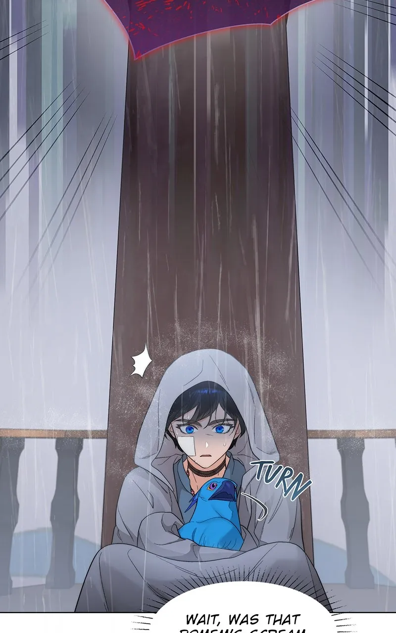 Seabird and the Wolf Chapter 13 page 6 - 