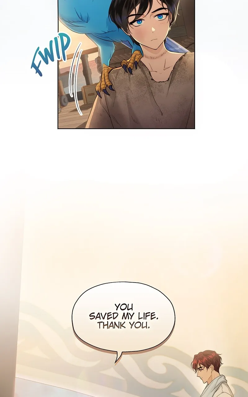 Seabird and the Wolf Chapter 4 page 6 - 