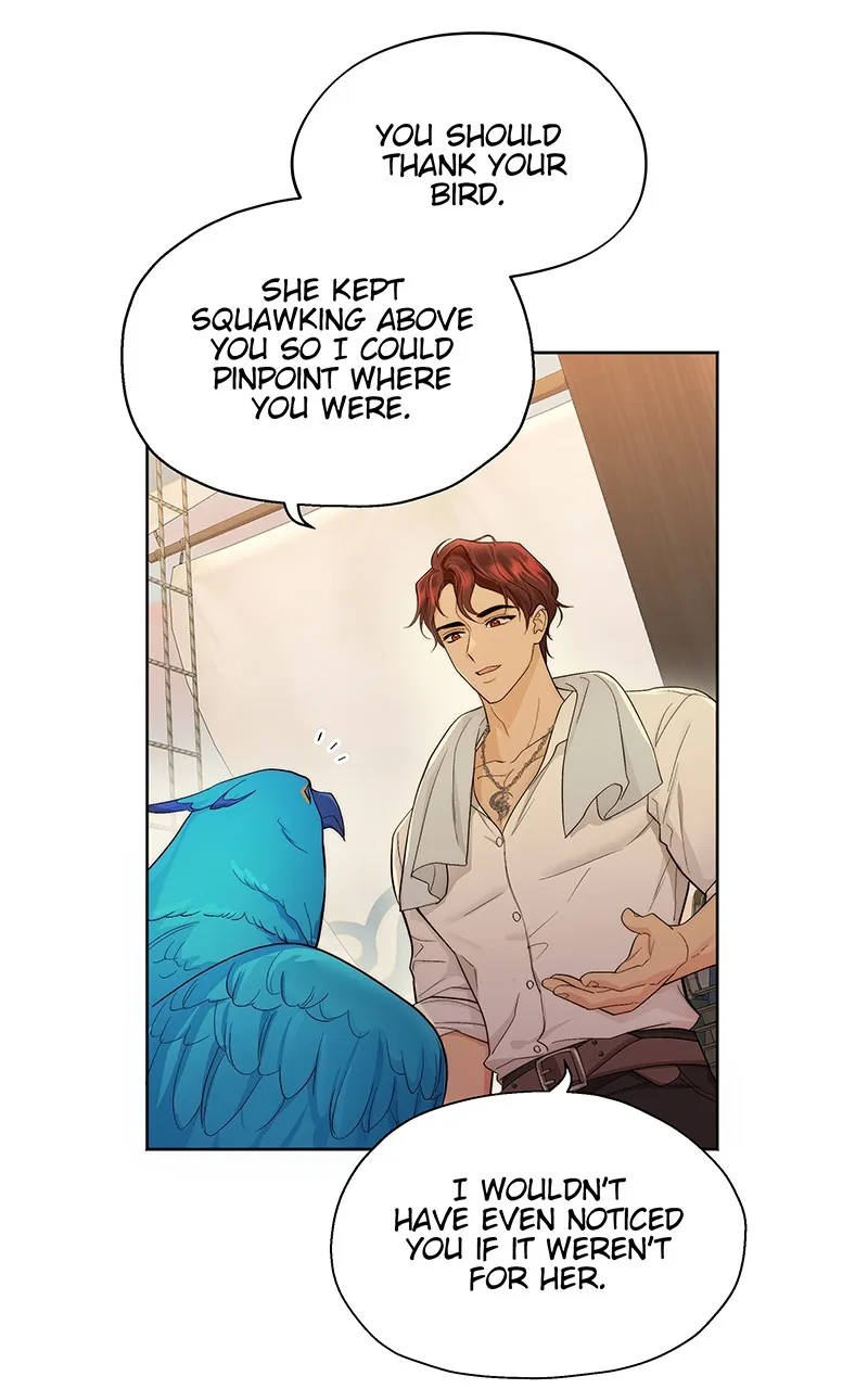 Seabird and the Wolf Chapter 4 page 8 - 