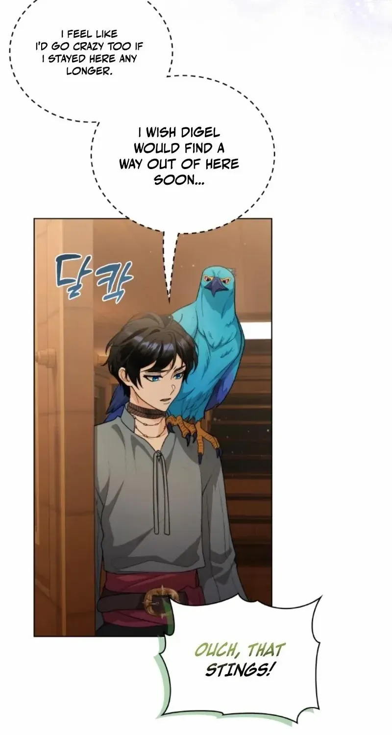 Seabird and the Wolf Chapter 56 page 14 - 