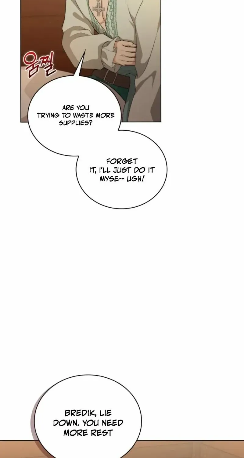 Seabird and the Wolf Chapter 56 page 17 - 