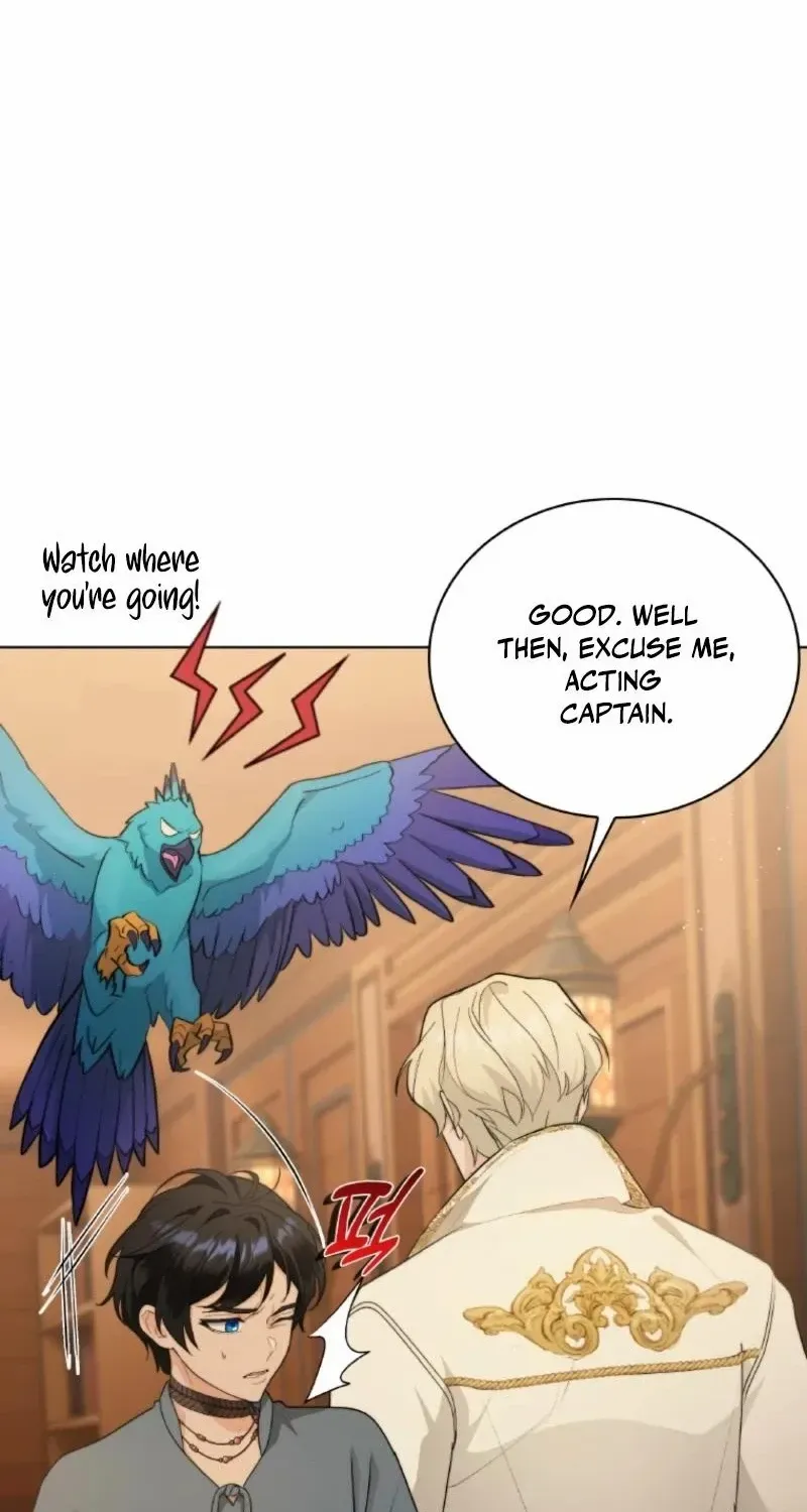 Seabird and the Wolf Chapter 56 page 37 - 