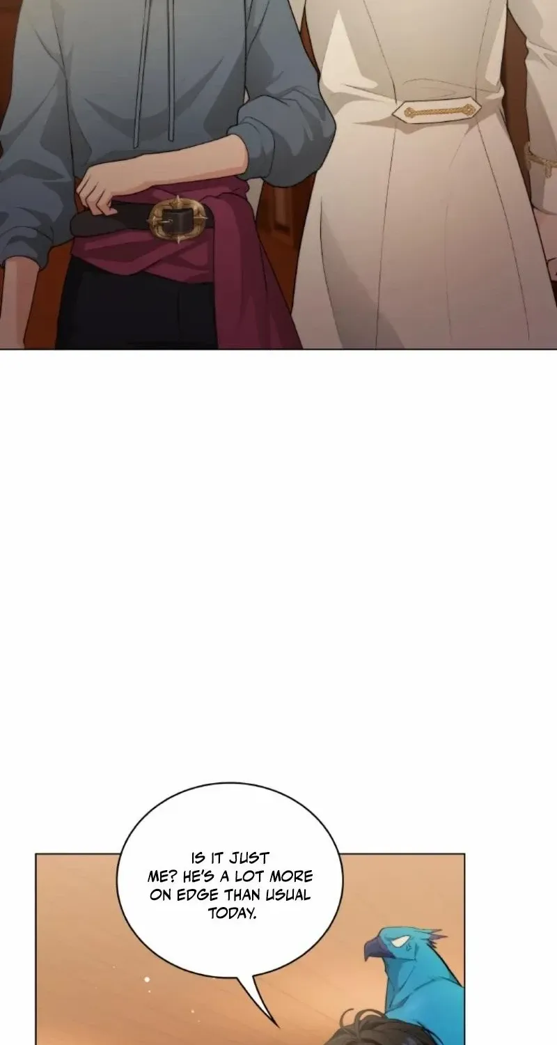 Seabird and the Wolf Chapter 56 page 38 - 