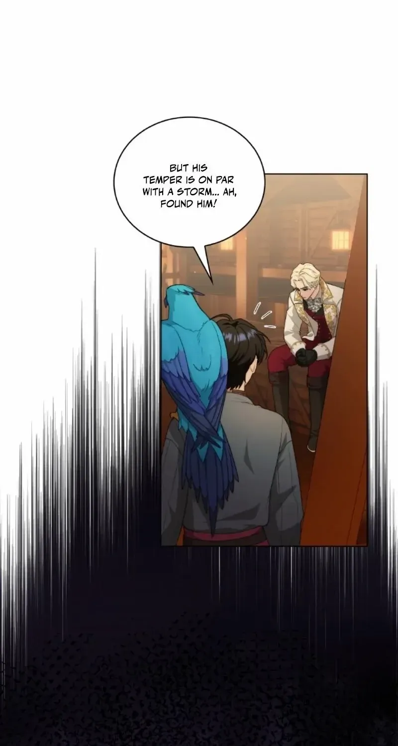 Seabird and the Wolf Chapter 56 page 51 - 