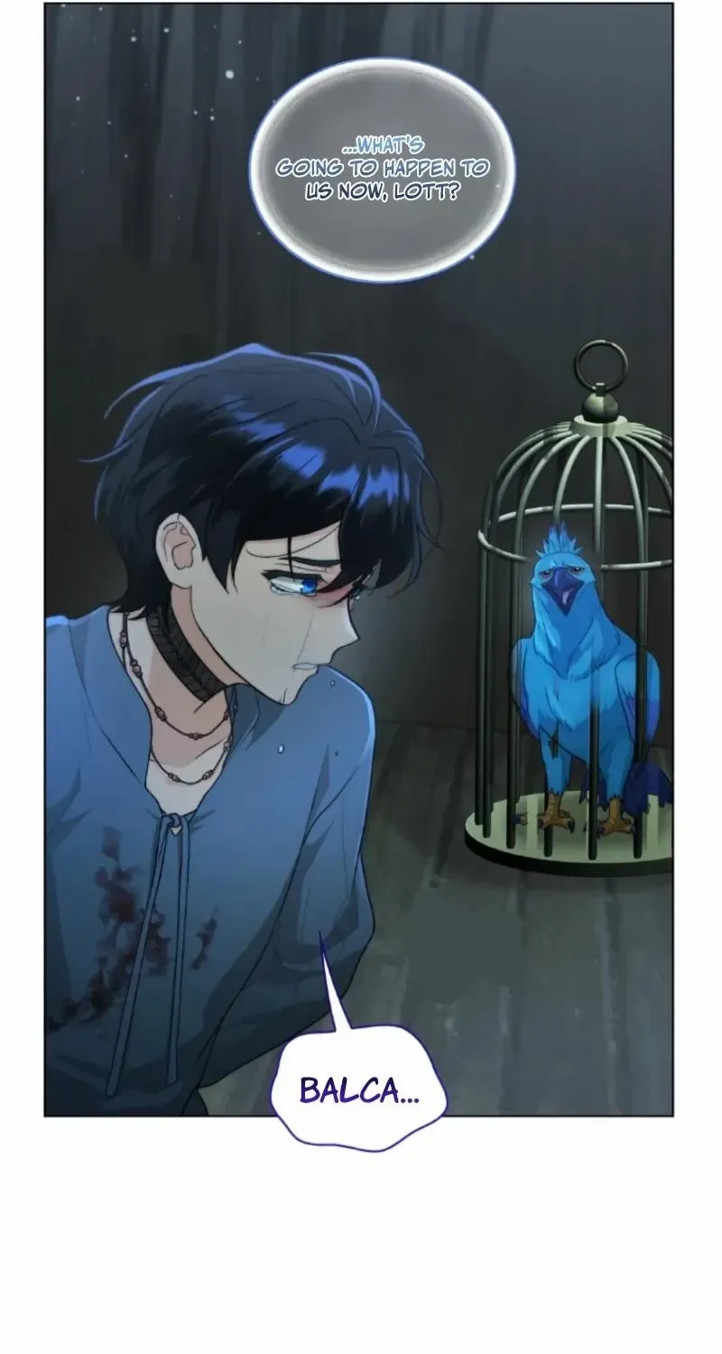 Seabird and the Wolf Chapter 57 page 41 - 