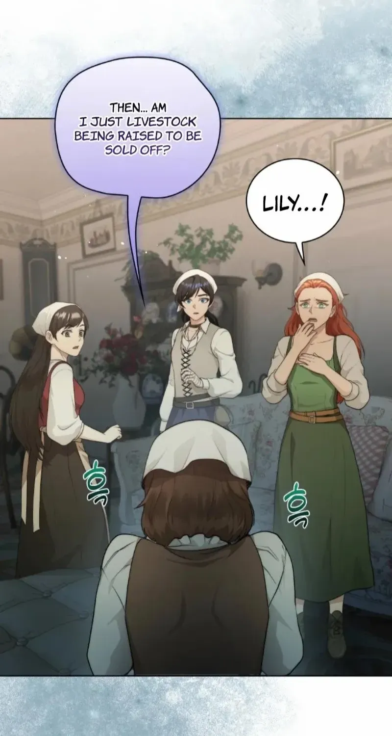 Seabird and the Wolf Chapter 60 page 46 - 