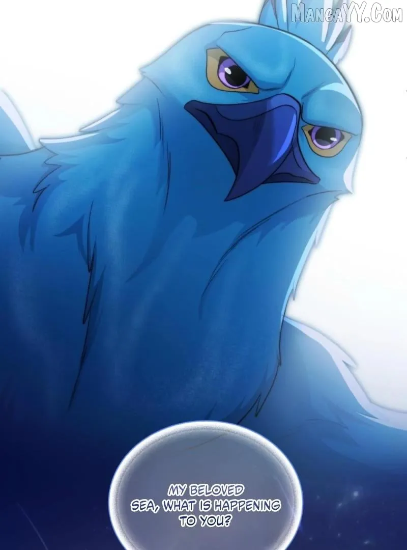 Seabird and the Wolf Chapter 66 page 106 - 