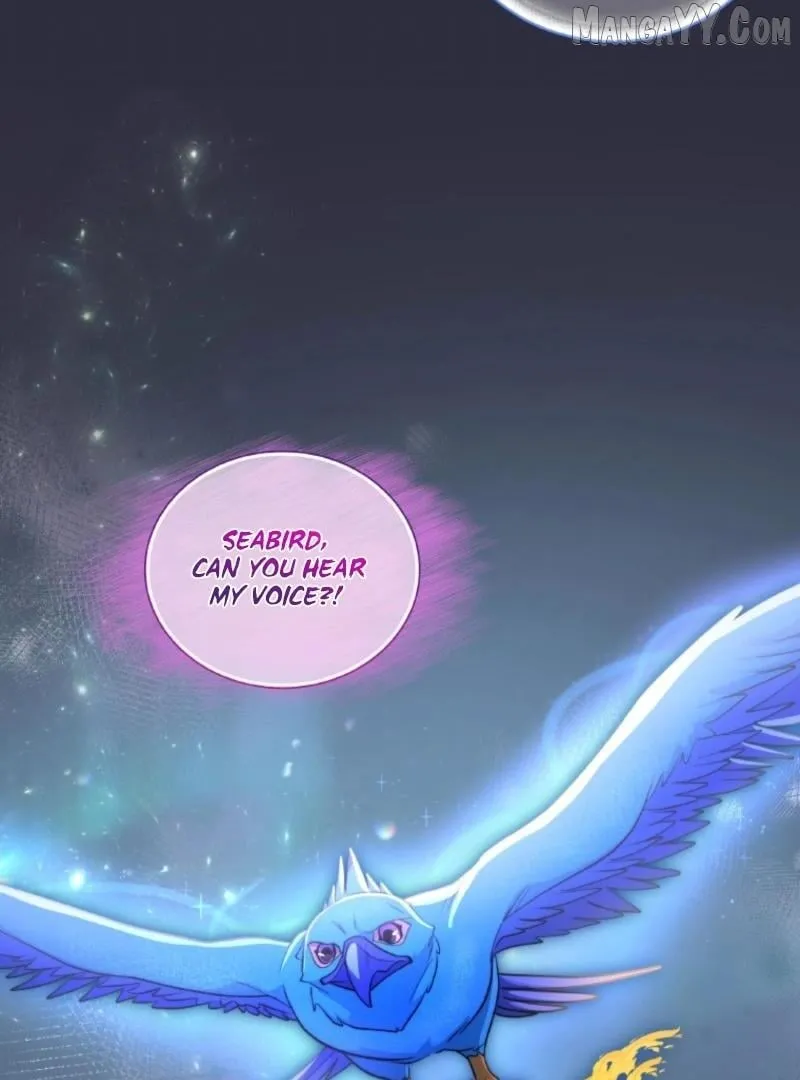 Seabird and the Wolf Chapter 66 page 72 - 