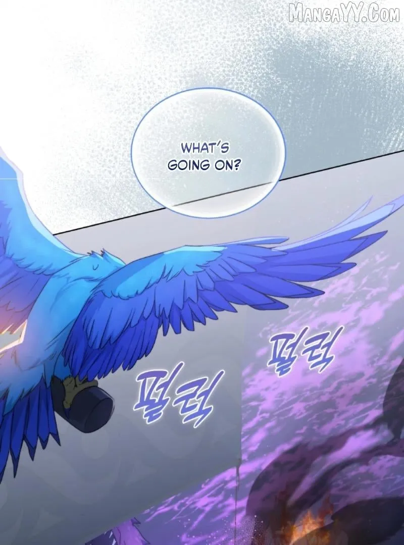 Seabird and the Wolf Chapter 66 page 97 - 