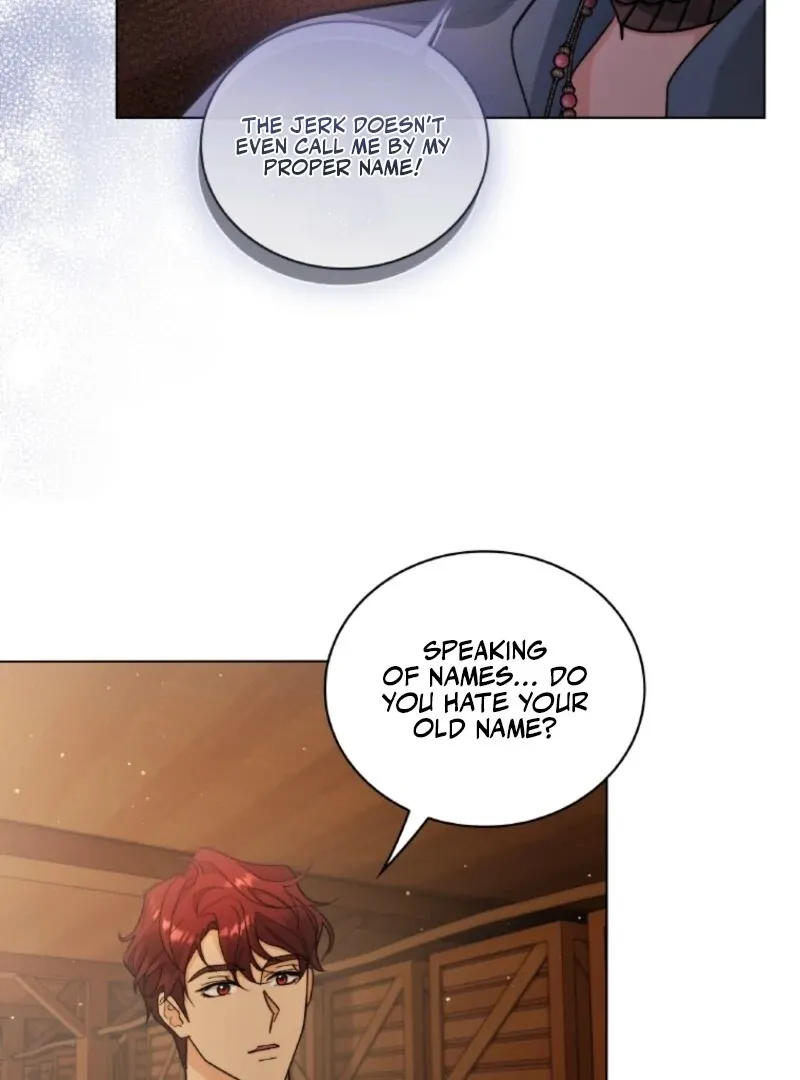 Seabird and the Wolf Chapter 68 page 88 - 