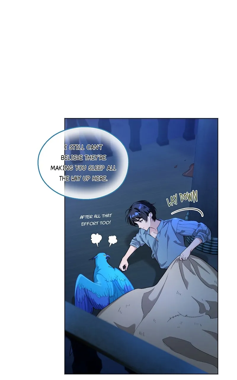 Seabird and the Wolf Chapter 8 page 1 - 