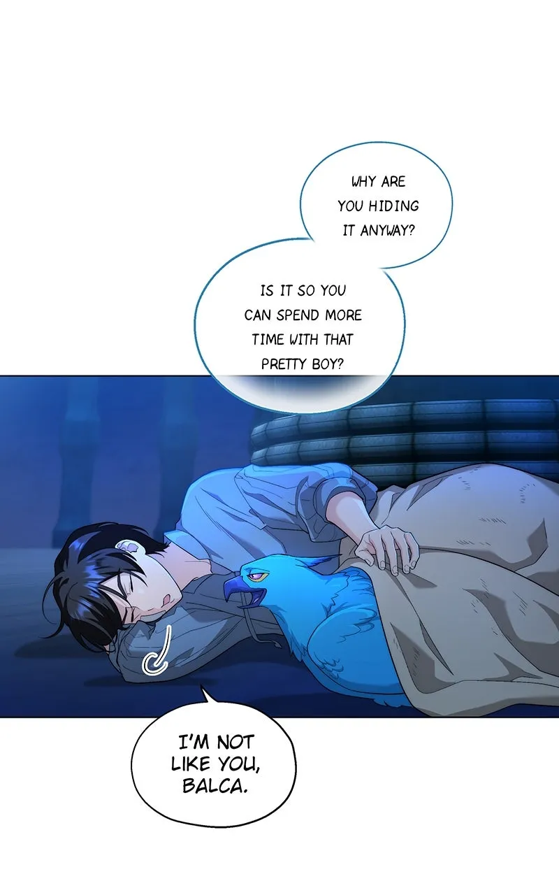 Seabird and the Wolf Chapter 8 page 4 - 