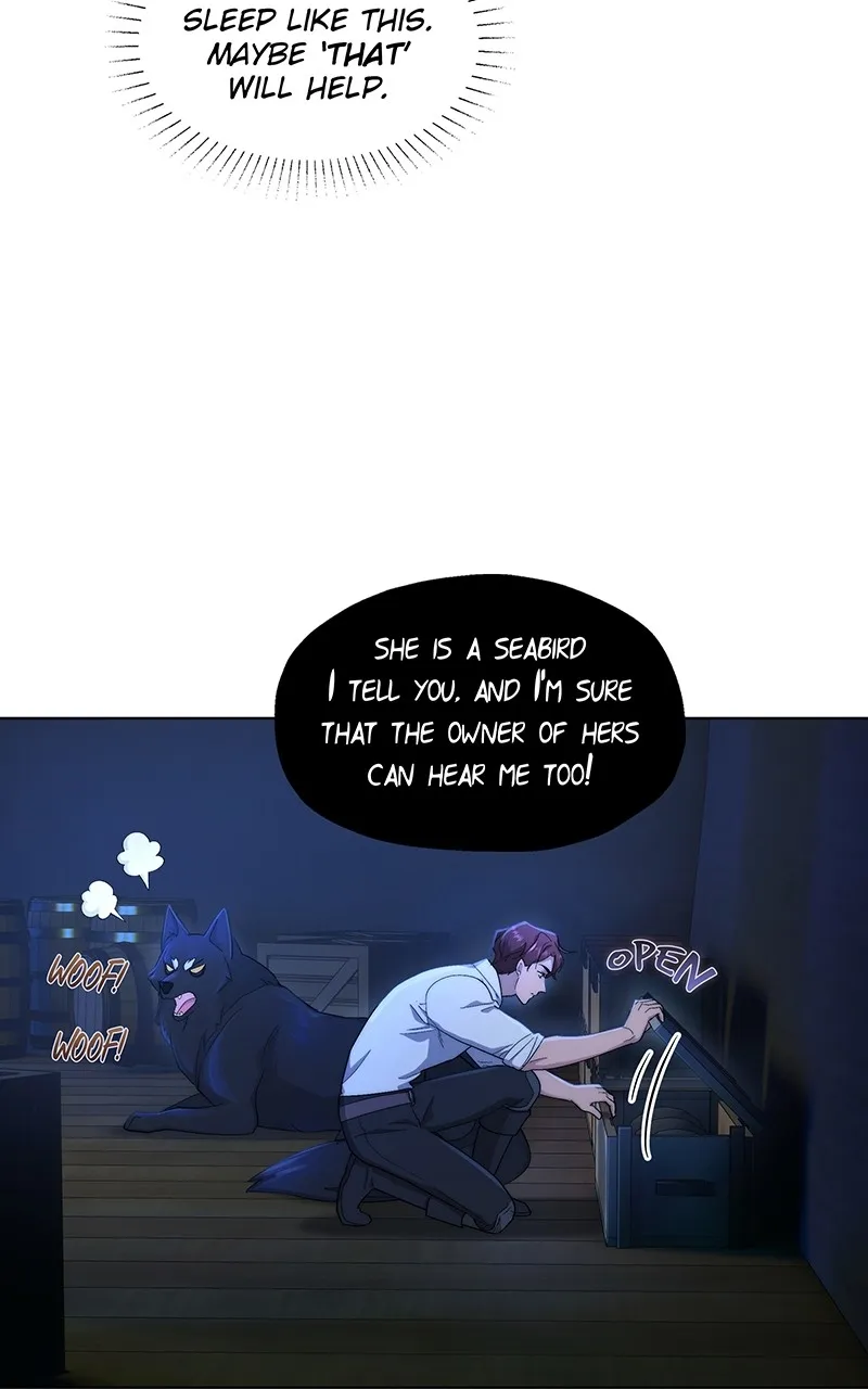 Seabird and the Wolf Chapter 8 page 45 - 