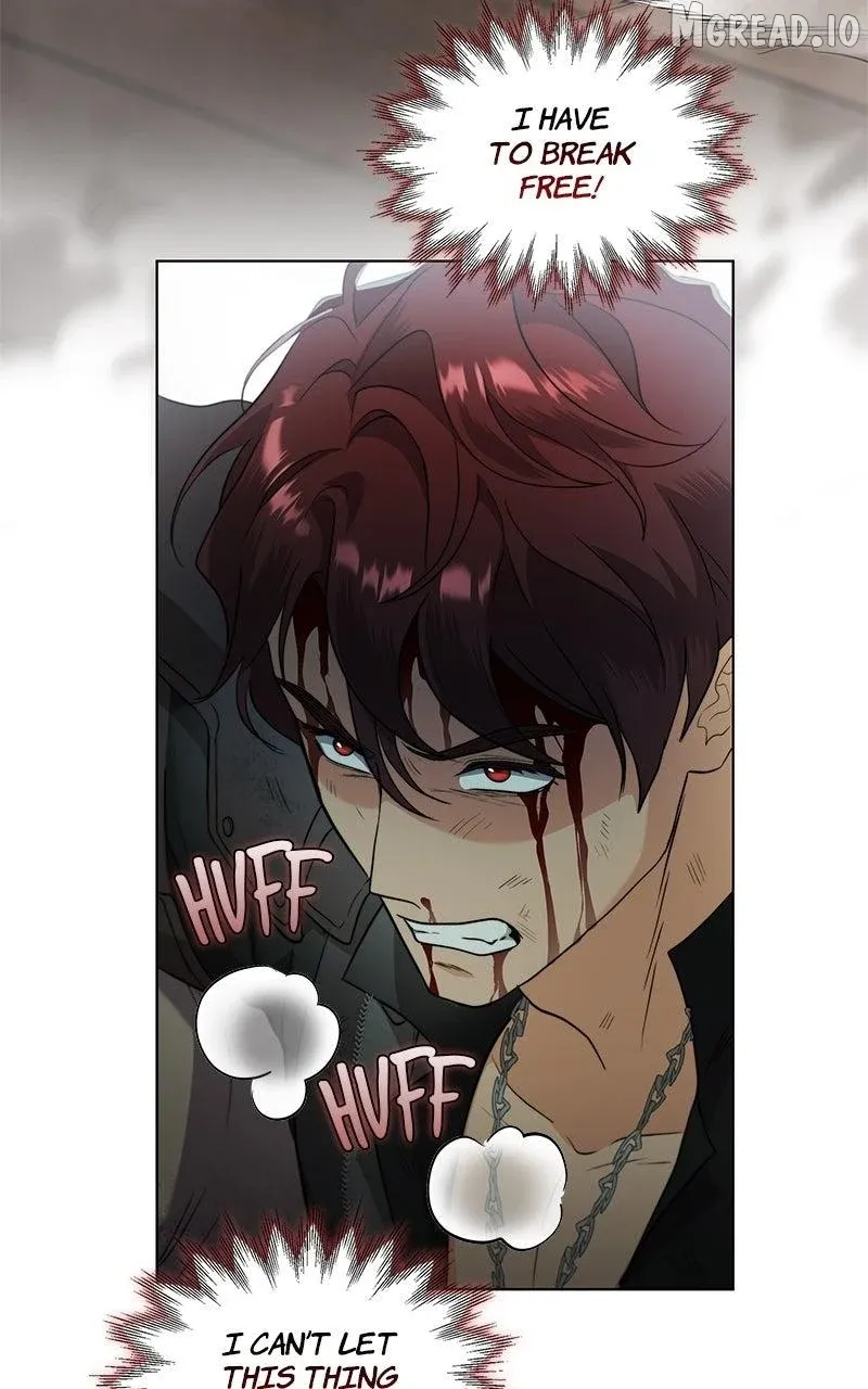 Seabird and the Wolf Chapter 82 page 67 - 