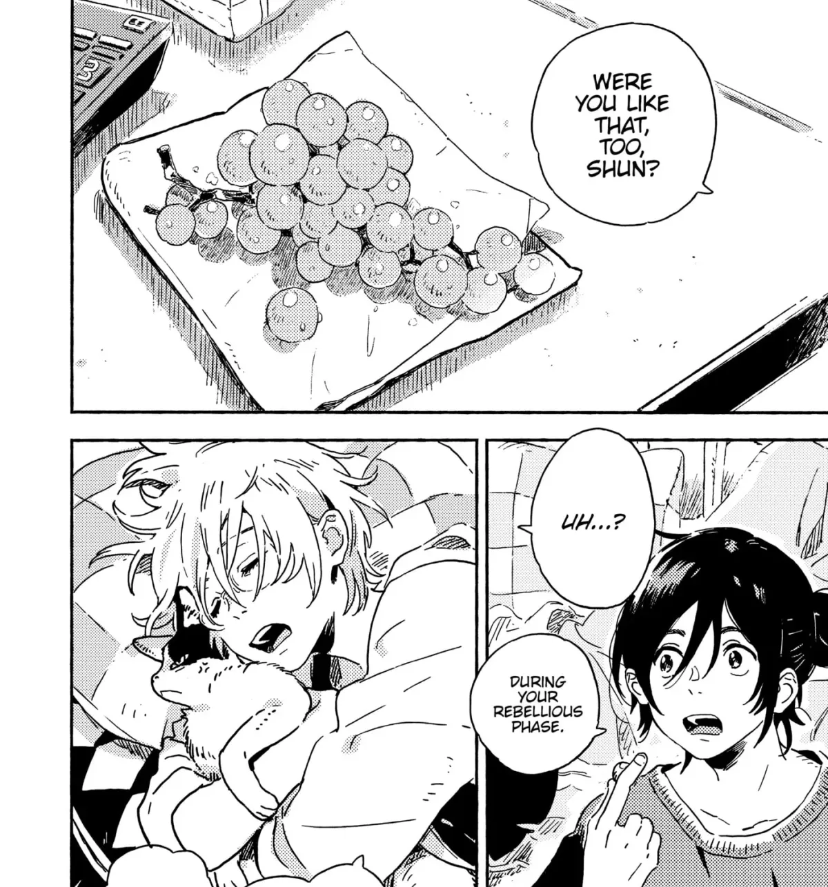 Seaside Stranger: Umibe no Étranger Chapter 13 page 41 - 