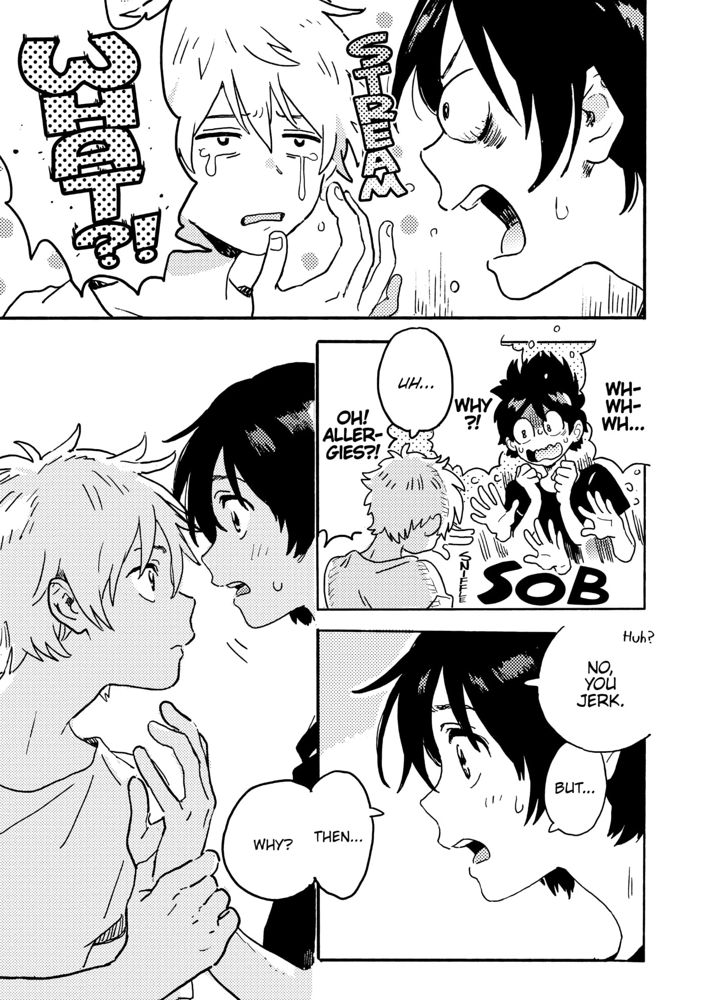 Seaside Stranger: Umibe no Étranger Chapter 26 page 35 - 