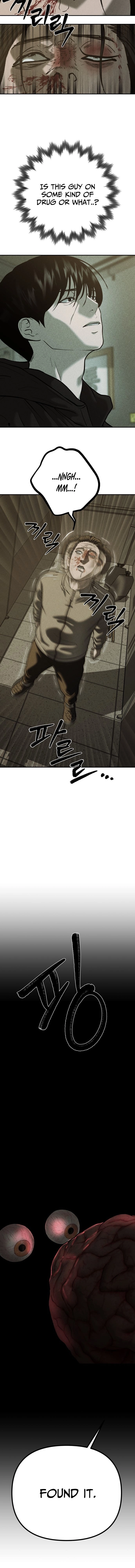 Secret Agent Crocodile Bird Chapter 26 page 17 - 