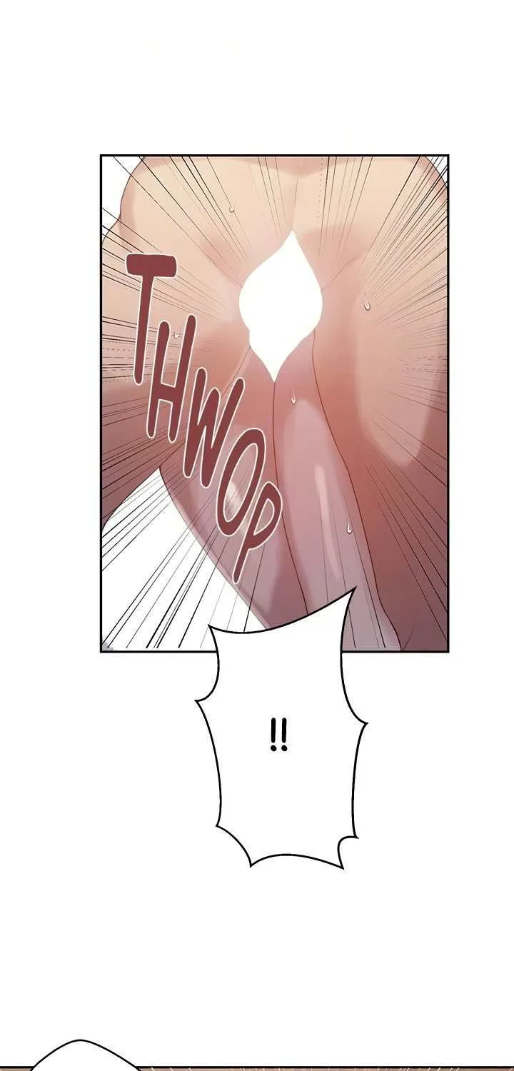 Secret Class Chapter 263 page 52 - 