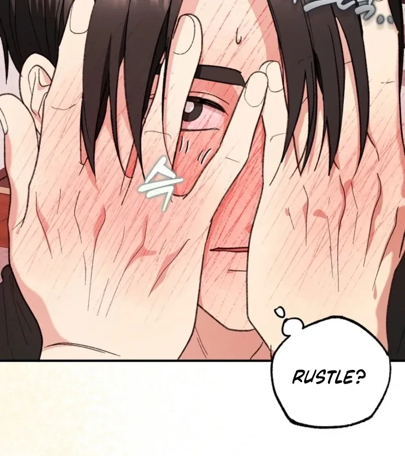 Secret Decoding Operation Chapter 2 page 115 - 