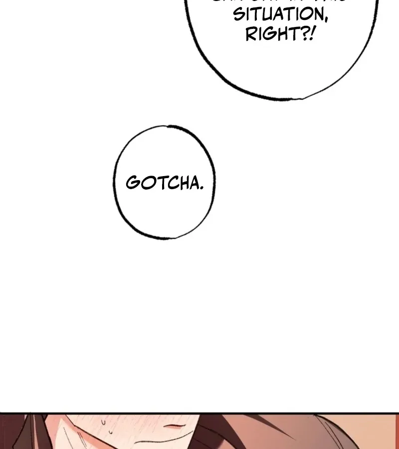 Secret Decoding Operation Chapter 2 page 43 - 